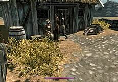 Skyrim Sex With Multiple People Including Anal And Oral