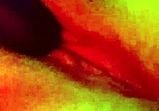 Solo vibrator orgasm