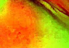 Solo vibrator orgasm