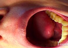 Mouth fetish lovers rejoice: Night kitchen, sins of the flesh, naked appetite or it couldn’t have had much more impact than violet’s tongue and teeth in action