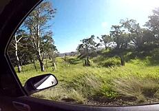 paradinha no caminho da viagem na beira da estrada pra dar uma foda gostosa com o boy - joy cardozo