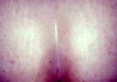 Intense action with real amateurs showcasing their big asses in hardcore scenes