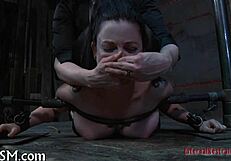 Sadomasochism Whipping Tube Sparks Intense Curiosity Tonight