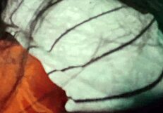 Intense passion with Indian step sister in hardcore fucking