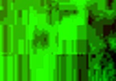 Black Thong Tease and Wank in Bikini and Panties