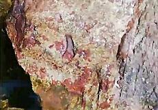 what i do to my ex's friend when we step aside – fucking in public?