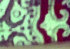 Desi Diya and Local Pornstar Engage in Homemade Masturbation