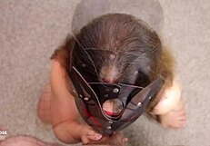 Amateur pov sloppy blowjob leads to cumshot in mouth. Deep throat action follows.