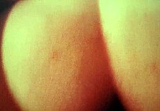 Amateur bends over for doggystyle pov spreading