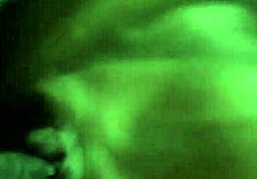 Amazing Moments Captured On Camera