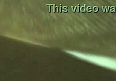 Movie night preview with tyler nixon and alexis fawx on missax