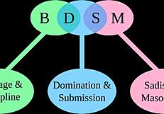 i'm lernin spankin in skool