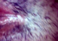 Solo missionary anal adventure