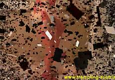 Fetish Mistress Tramples Bound Slave In Domination Bondage