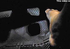 the driver accidentally touches the gas pedal with his bare toes while groping the feet 😲