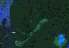 britney madison explores hardcore sex under blacklight with fetish elements