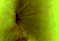 late night motel vibes