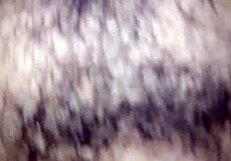 Close Up of Cute Jackelyn Reyes