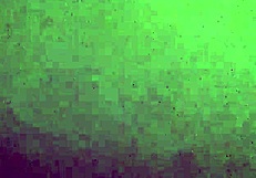 Sloppy homemade video from January 9, 2017