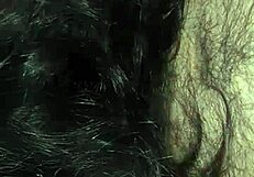 Detailed Sucking Of Wife's Pussy In Passionate Encounter