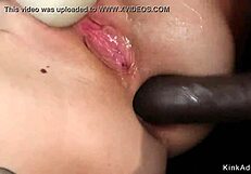 Busty Professor Anal Fucks Student!