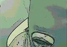 Stranger Asks For Help