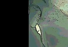 Stranger Asks For Help