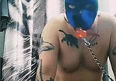 gaywolf is big mastino