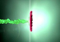 Wow, Brazilian Babe Nails First Casting Scene!