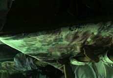 Arab Husband Fucks Cute Pakistani Mother In Law And Aunt Wife.