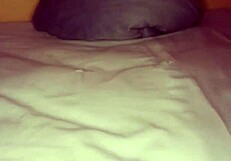 pervsexsis: curly babe harley haze blows stepbro's boner