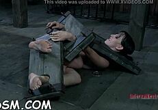 caged up babe gets gratifyin... ugh, so intense with toys