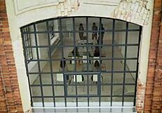 Hey, Zazie and Kaisa explore new lesbian licks and fingering!