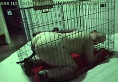 violet coxx ftm puppy sex in kinky ranch roleplay