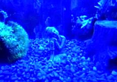 Recalling My Best Virgin Pickup Line Success Story