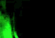 Ebony Girl Sucks Cock Then Licks Ass in Detailed Scene