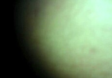 she begs me for her sexy twerking session