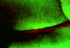 Mexicana puta offers anal sex in doggystyle position