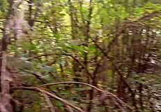 skinny hairy guy takes a bold pee outdoor