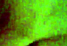 I's masturbatin' my creamy beef curtain, oh yeah!