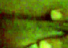 I's masturbatin' my creamy beef curtain, oh yeah!