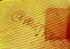 Marta Bellefleur Writes Fan Name On Body For Husband