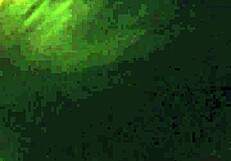 Sucking That Big Black Cock!