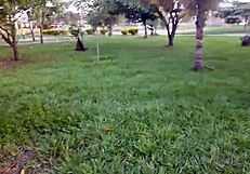 Latina Teen Fucked Hard For Money!