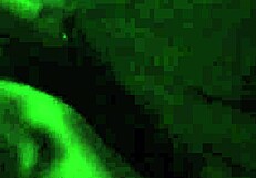 Yo, this Spanish teen gives such amazing head, wow!