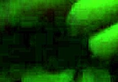 Mistress of Souls 2! Who Will Be Punished Next in Lingerie?