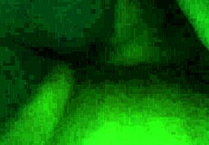 Let's Play with That Booty