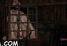 shocking chick's lusty vagina gets toyed and sucked 😈