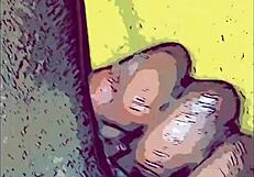 Ebony Girl Craves Anal Sex In Pov