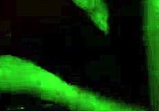 Teen Latina Battles Jason in Wild Anal Clash